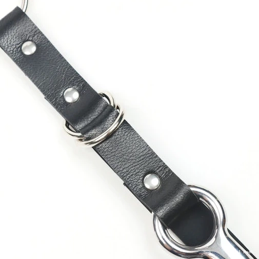 EverydayUse Kinky Anal Collar Leash 5853 with Hook and 0629